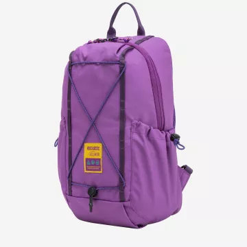 34017-purple-side-2