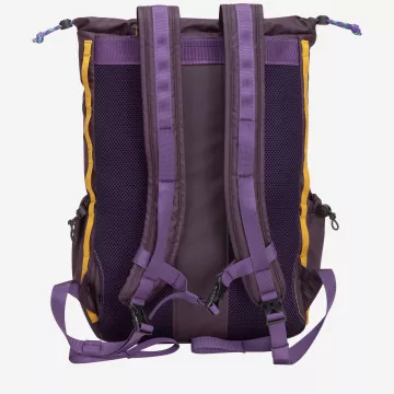 34023-purple-back