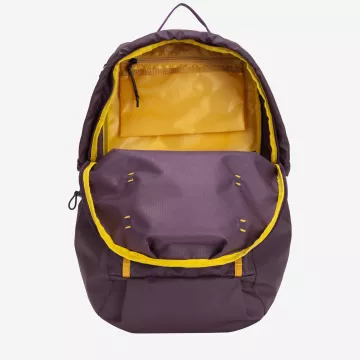 34000-purple-inside