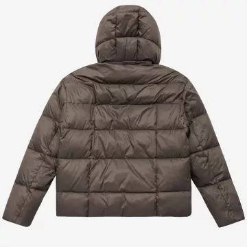 40163-brown-back
