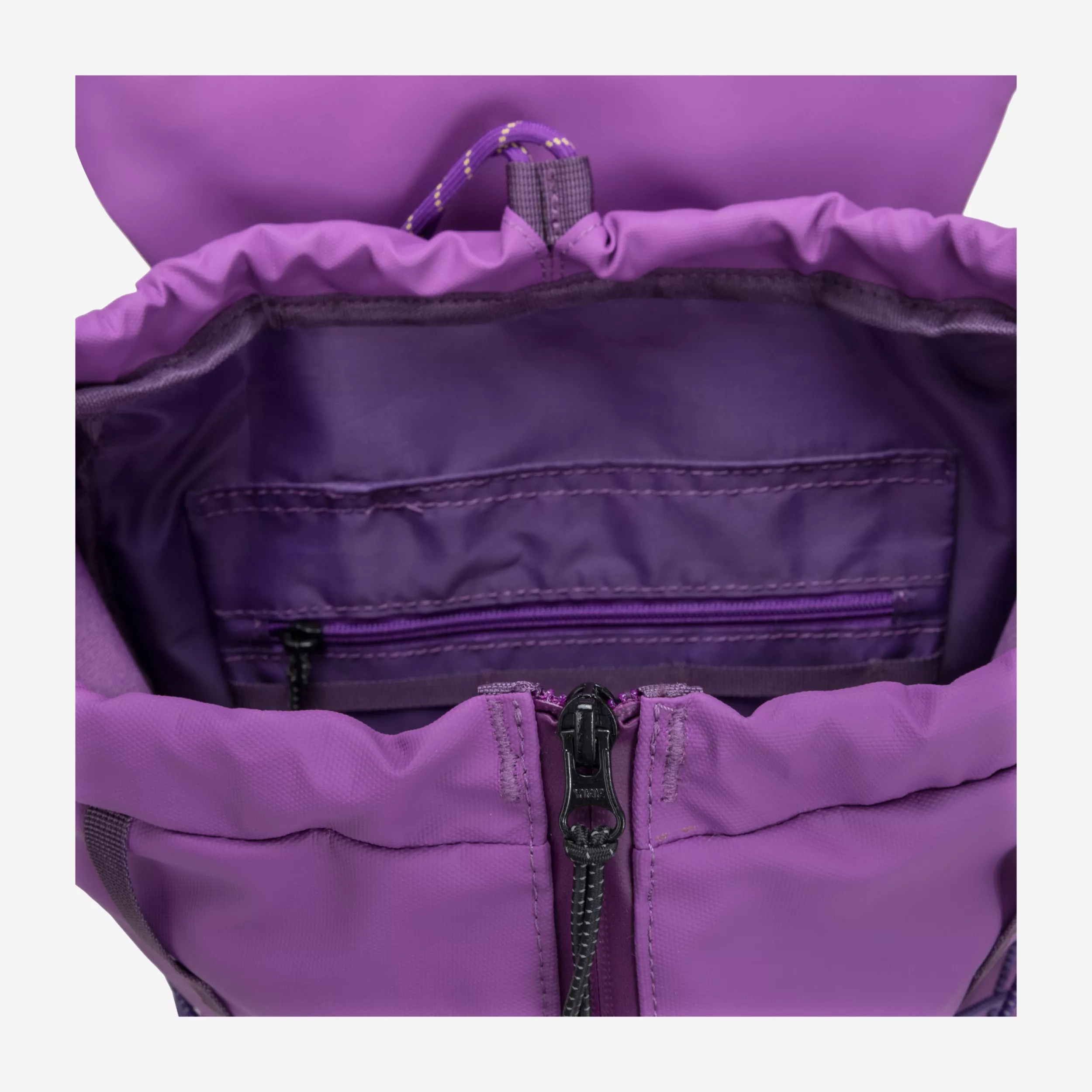 34053-elecpurple-inside-2