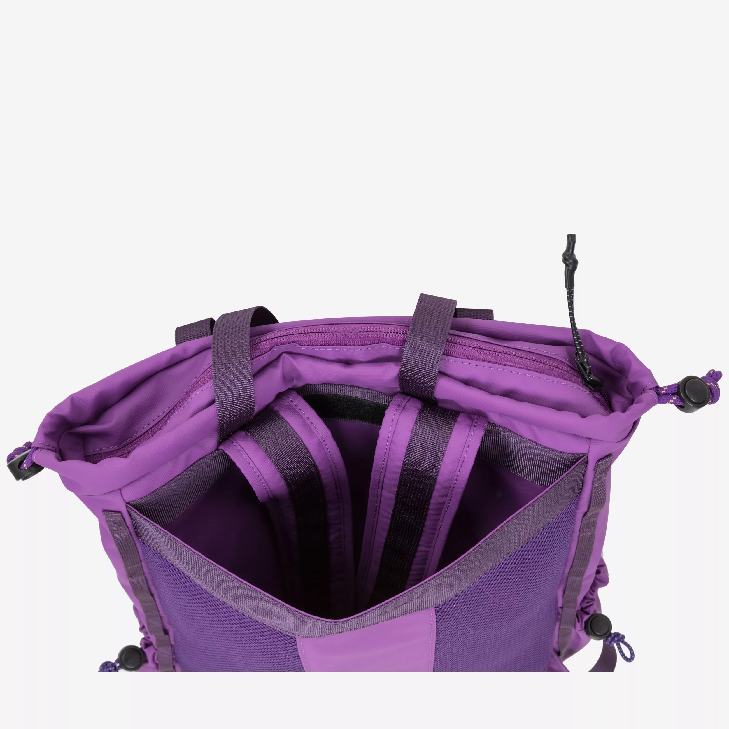 34023-elecpurple-inside-2