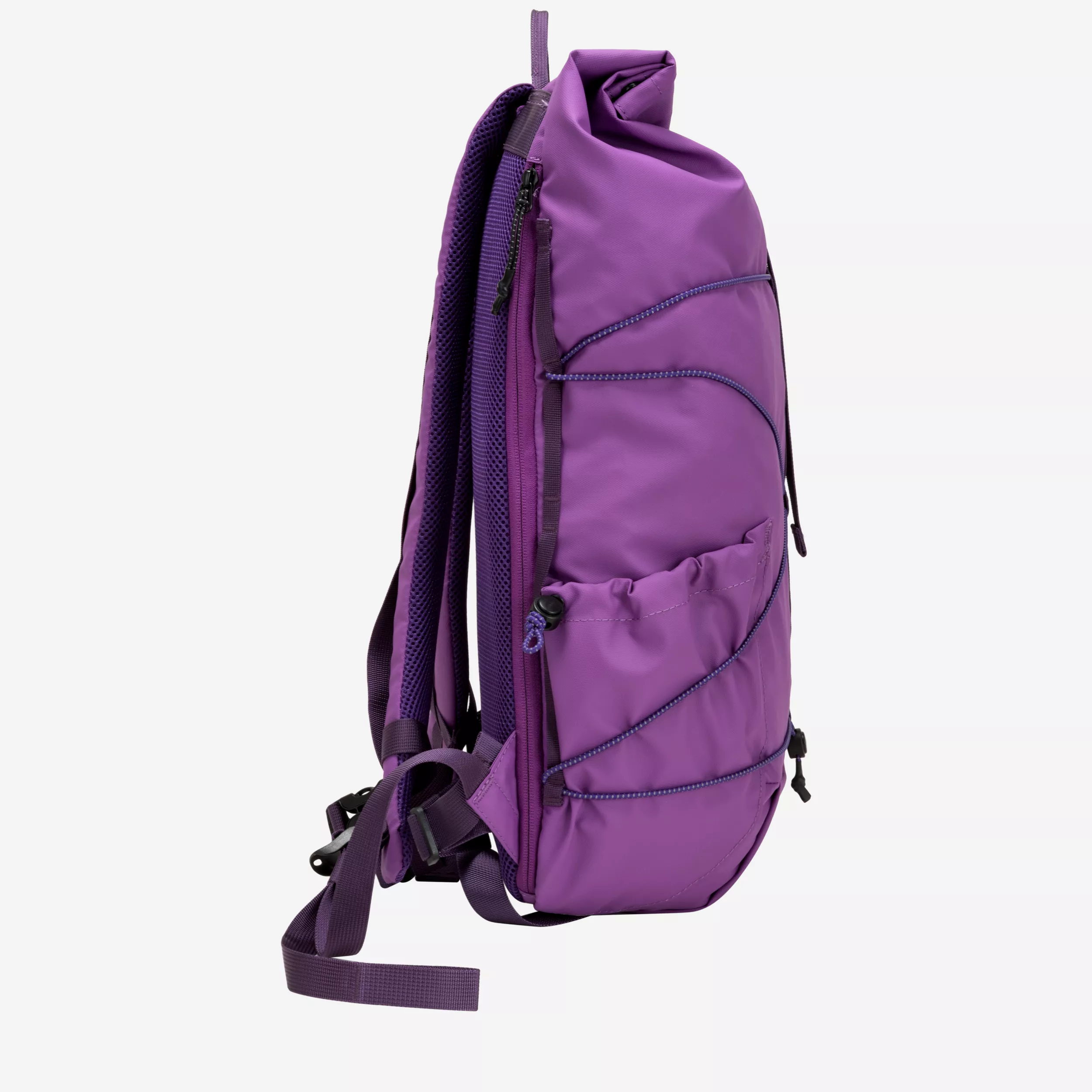 34001-elecpurple-side-1