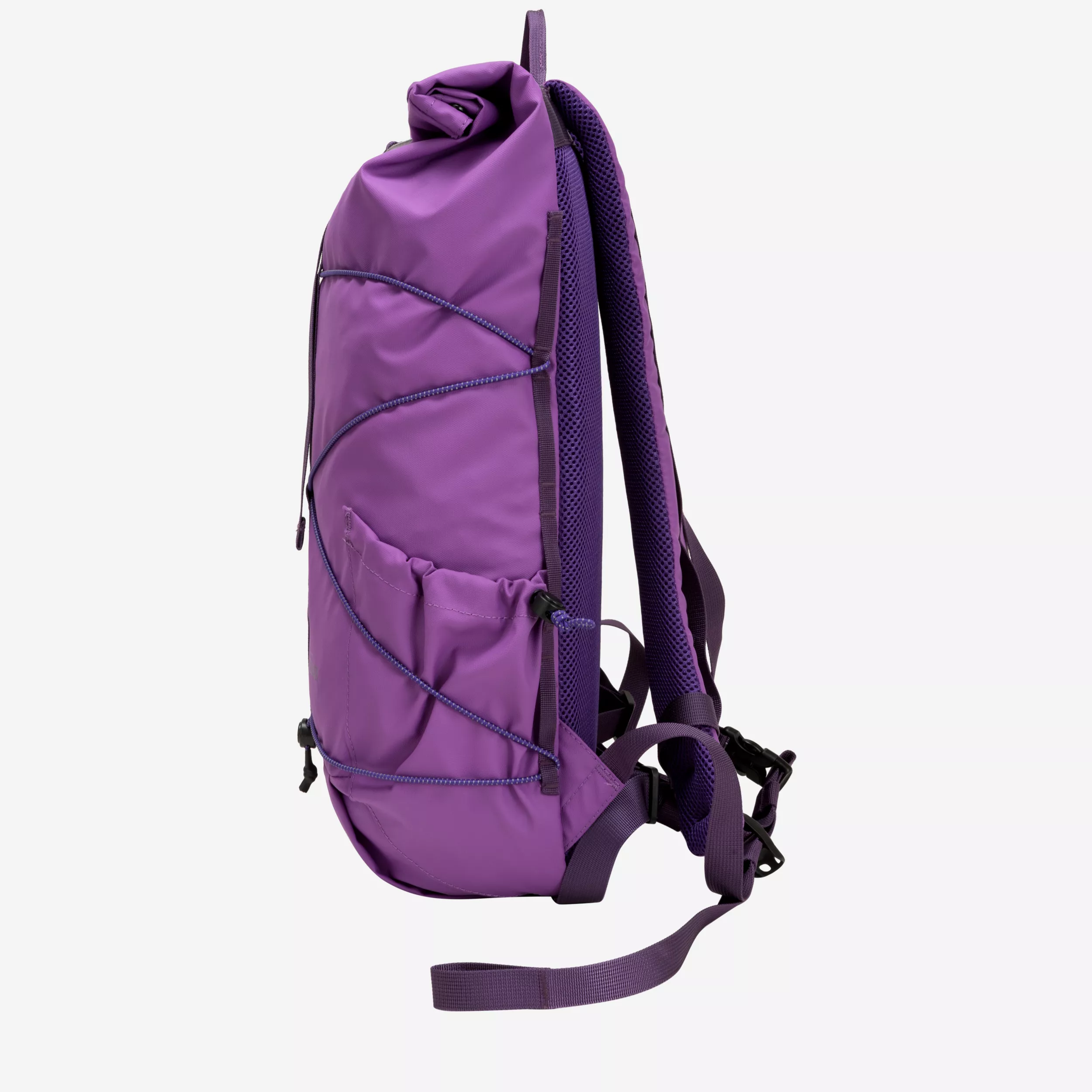 34001-elecpurple-side-3