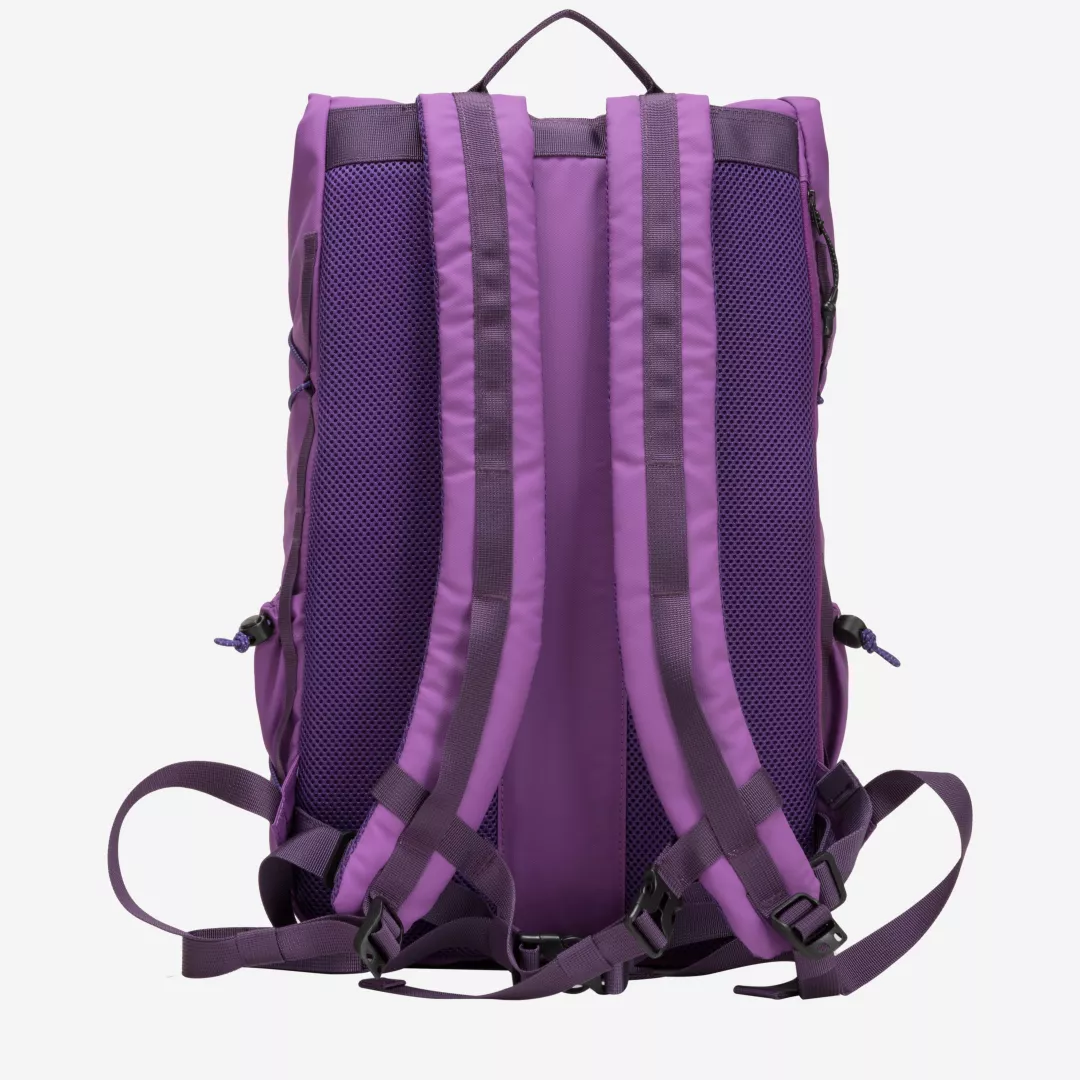 34001-elecpurple-back