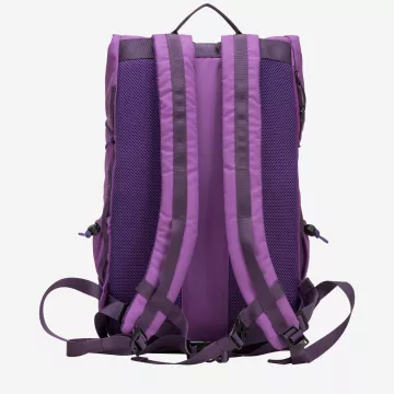 34001-elecpurple-back