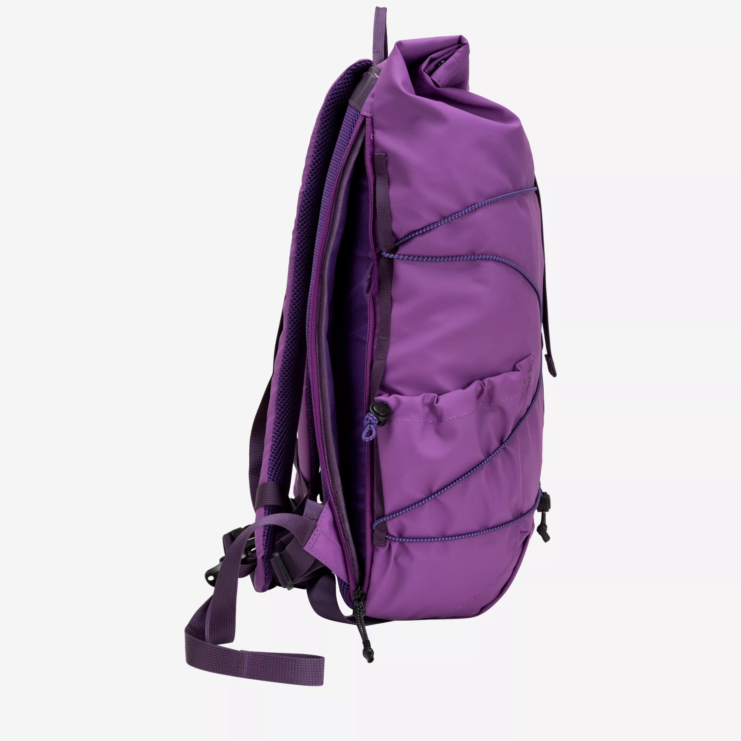 34001-elecpurple-inside-2