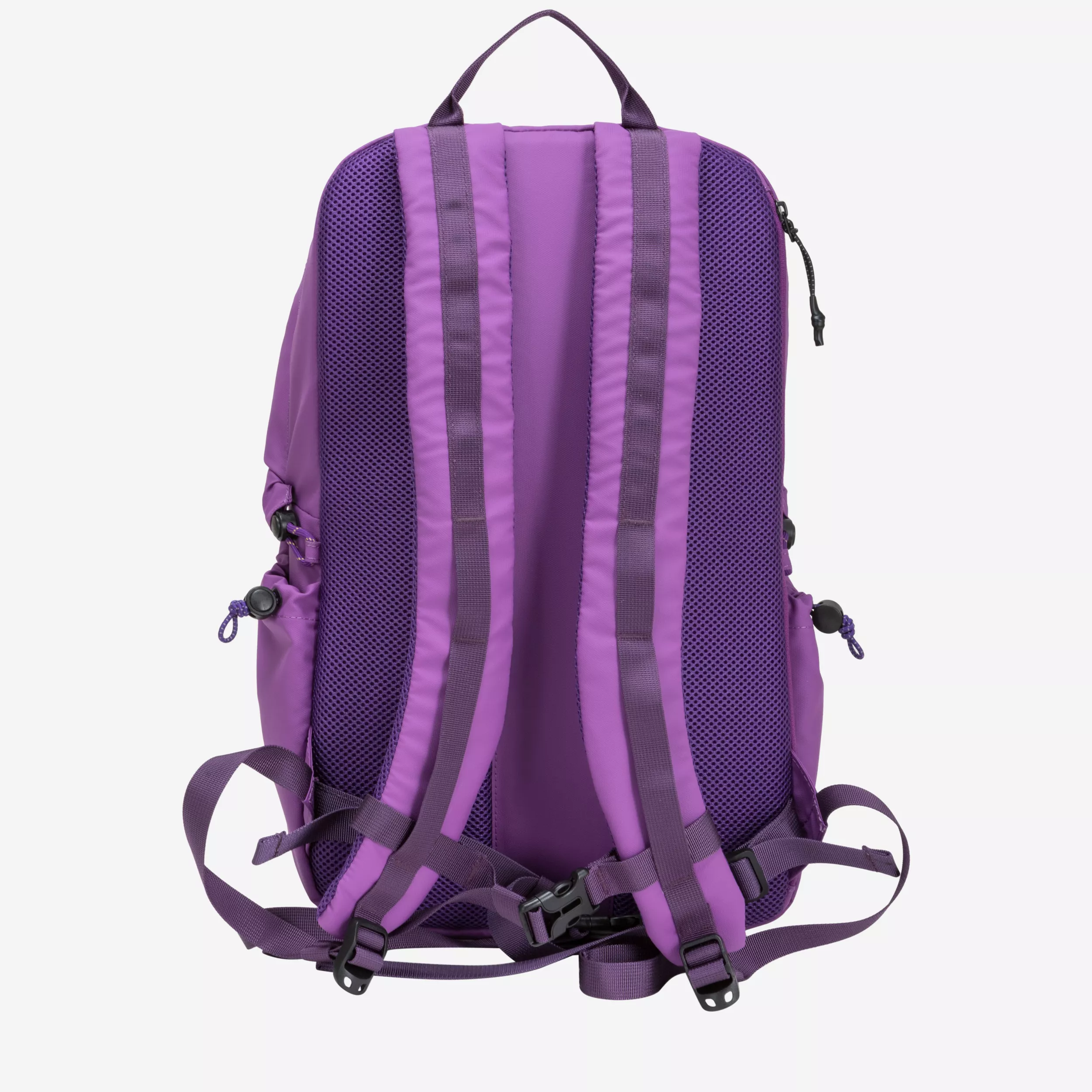 34000-elecpurple-back