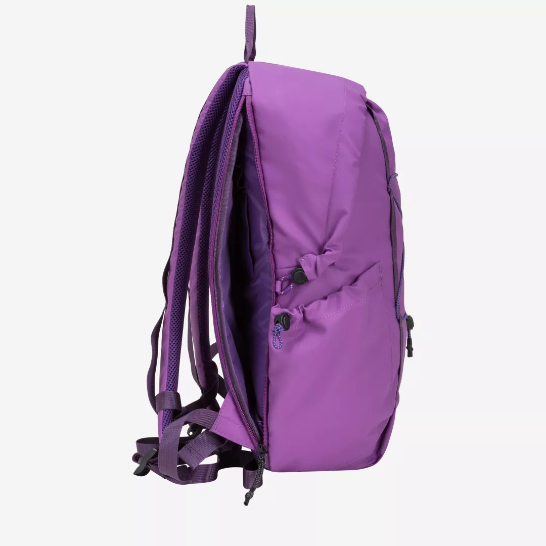 34000-elecpurple-inside-2