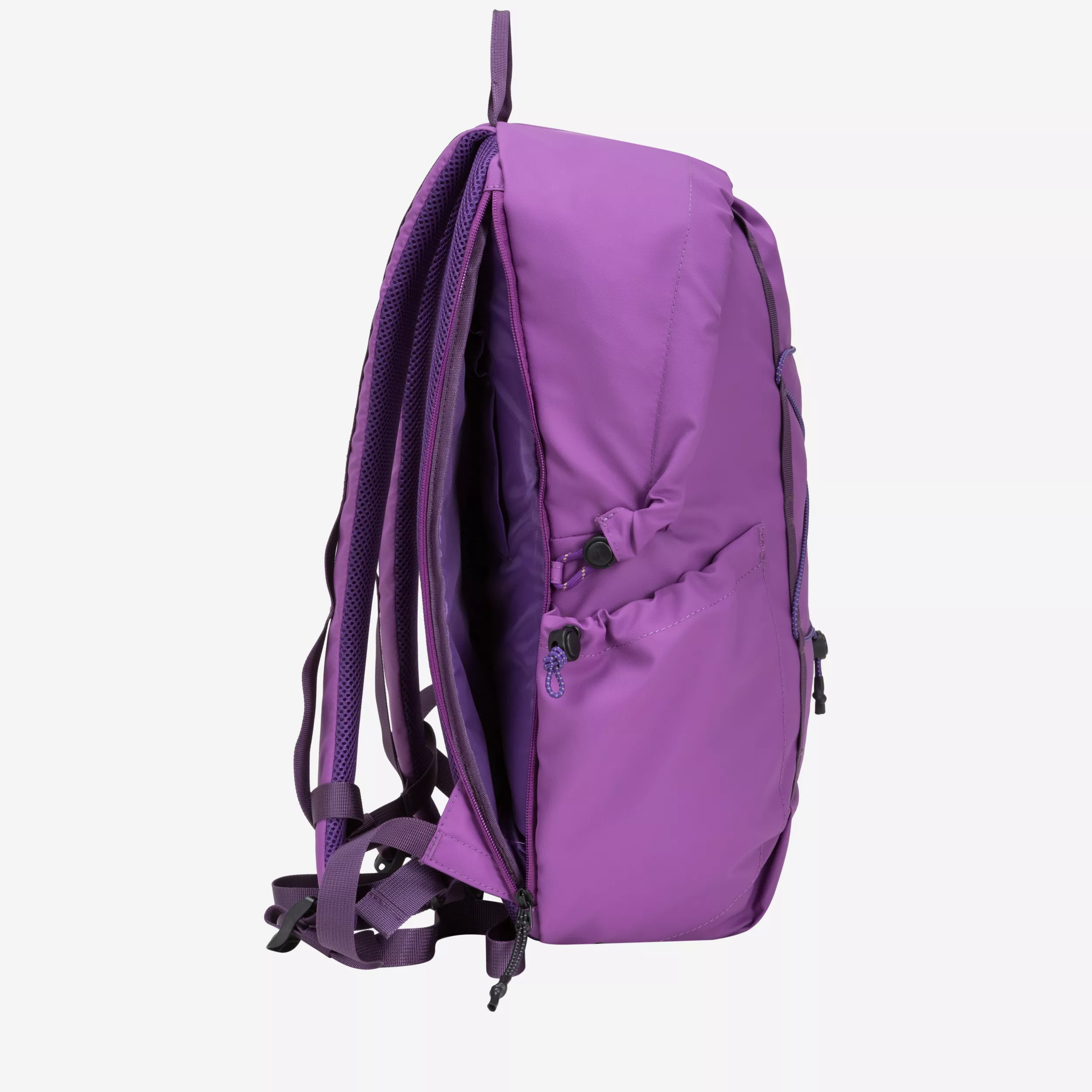 34000-elecpurple-inside-2