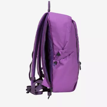 34000-elecpurple-inside-2