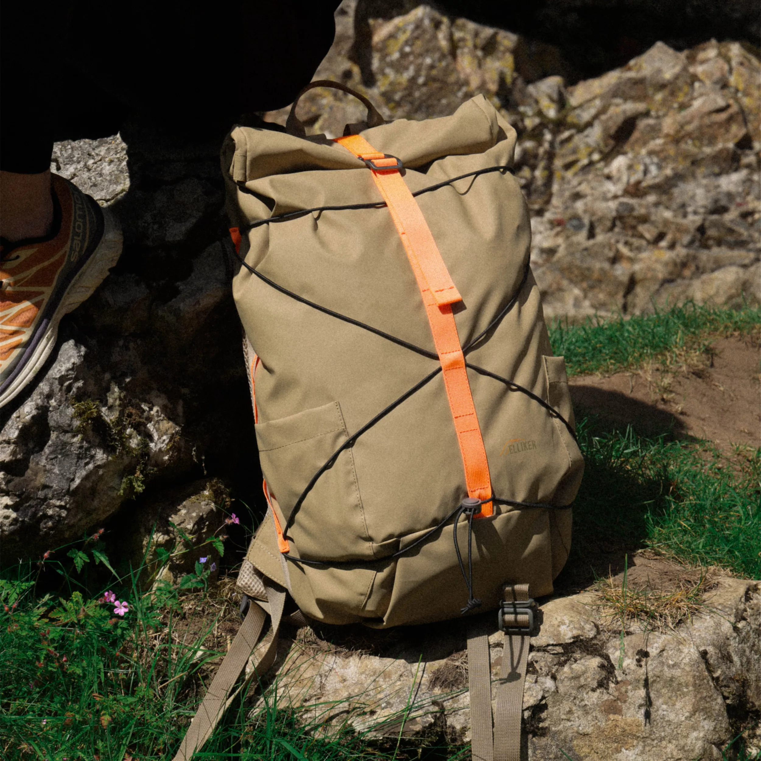 Dayle Roll Top Backpack 21/25L