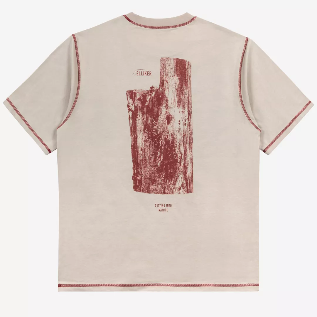 40181-ashgrey-back