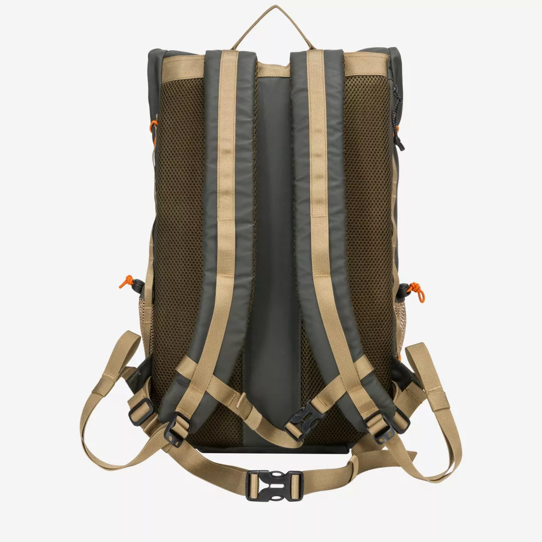 34001-darkgreen-back