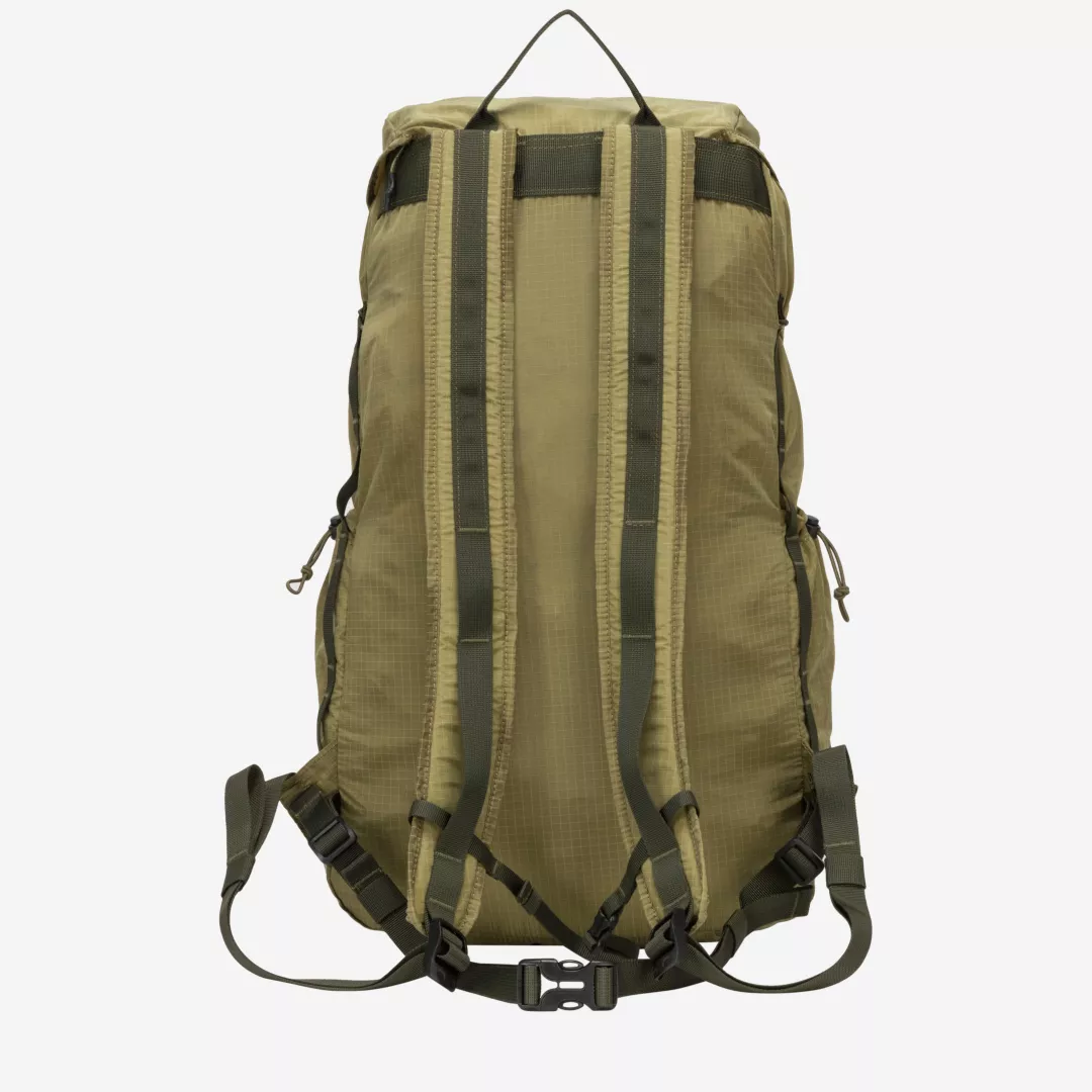 34080-olive-back