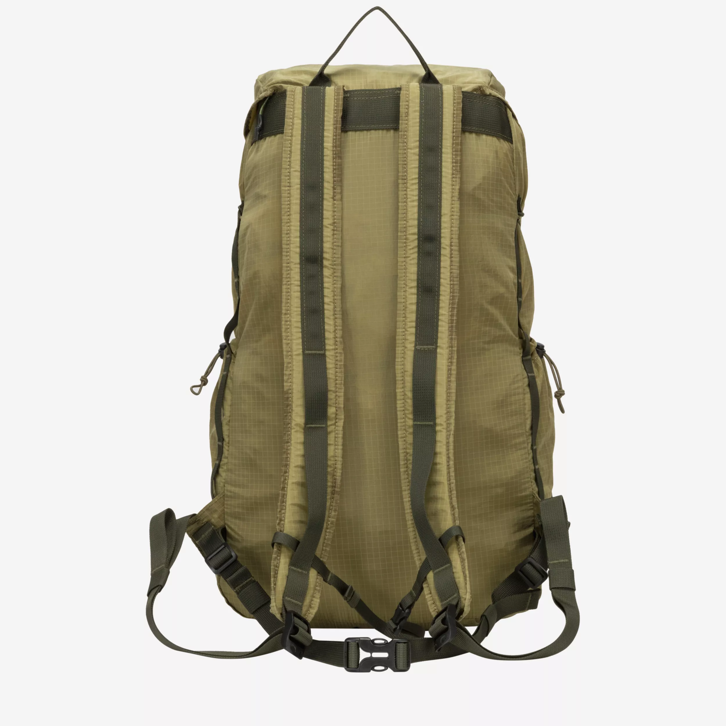 34080-olive-back