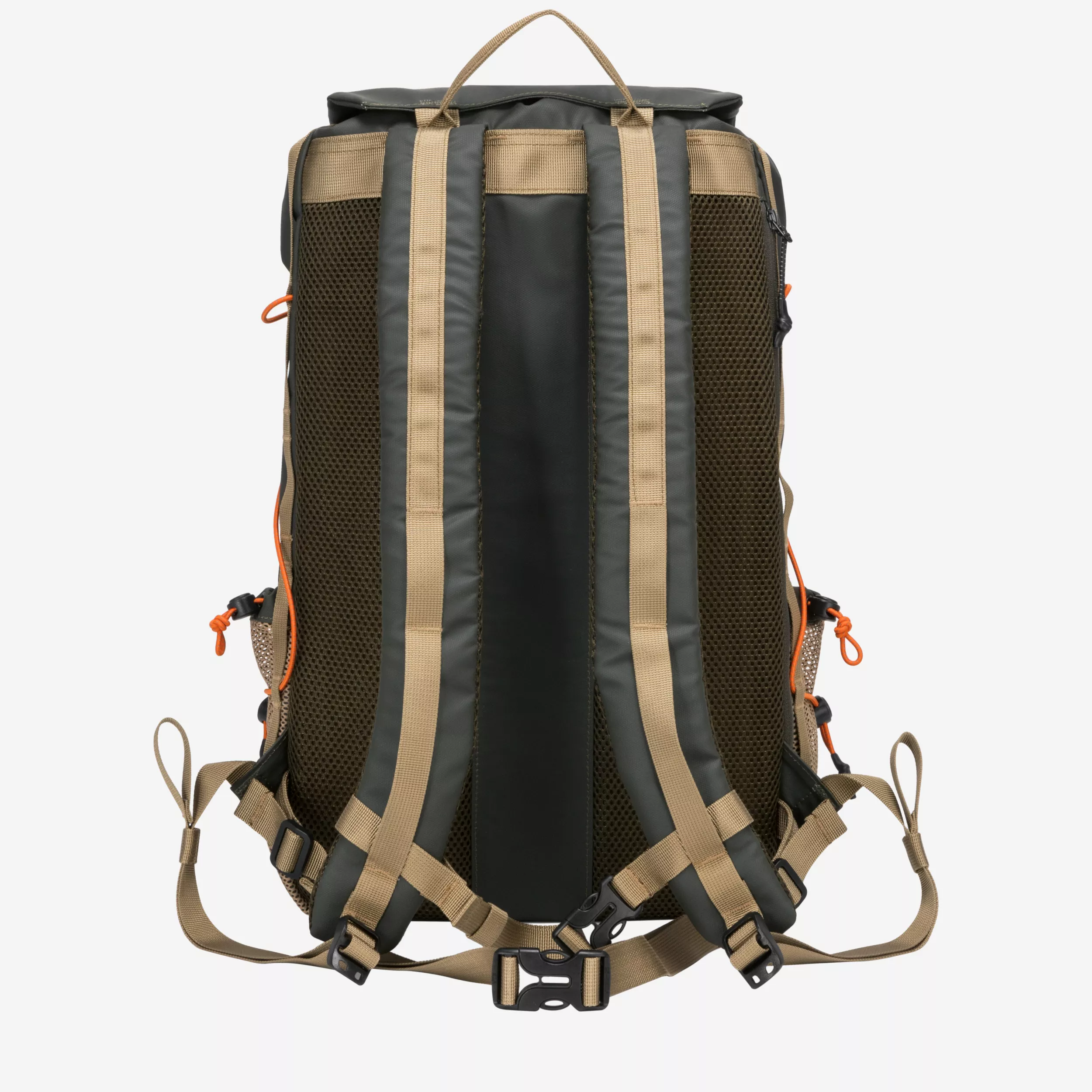 34053-darkgreen-back