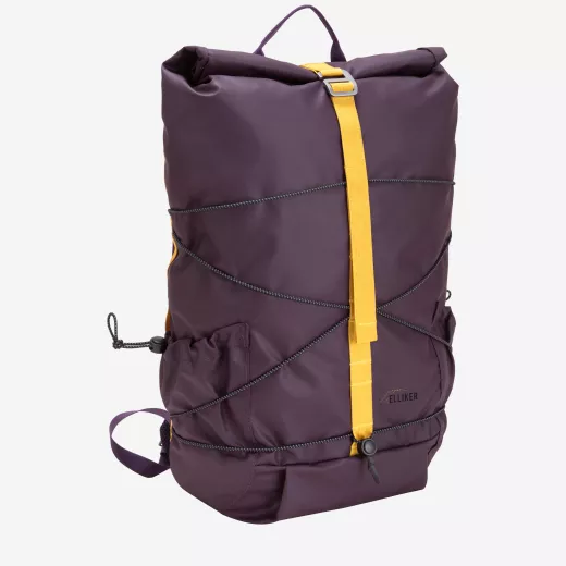 Dayle Roll Top Backpack 21/25L