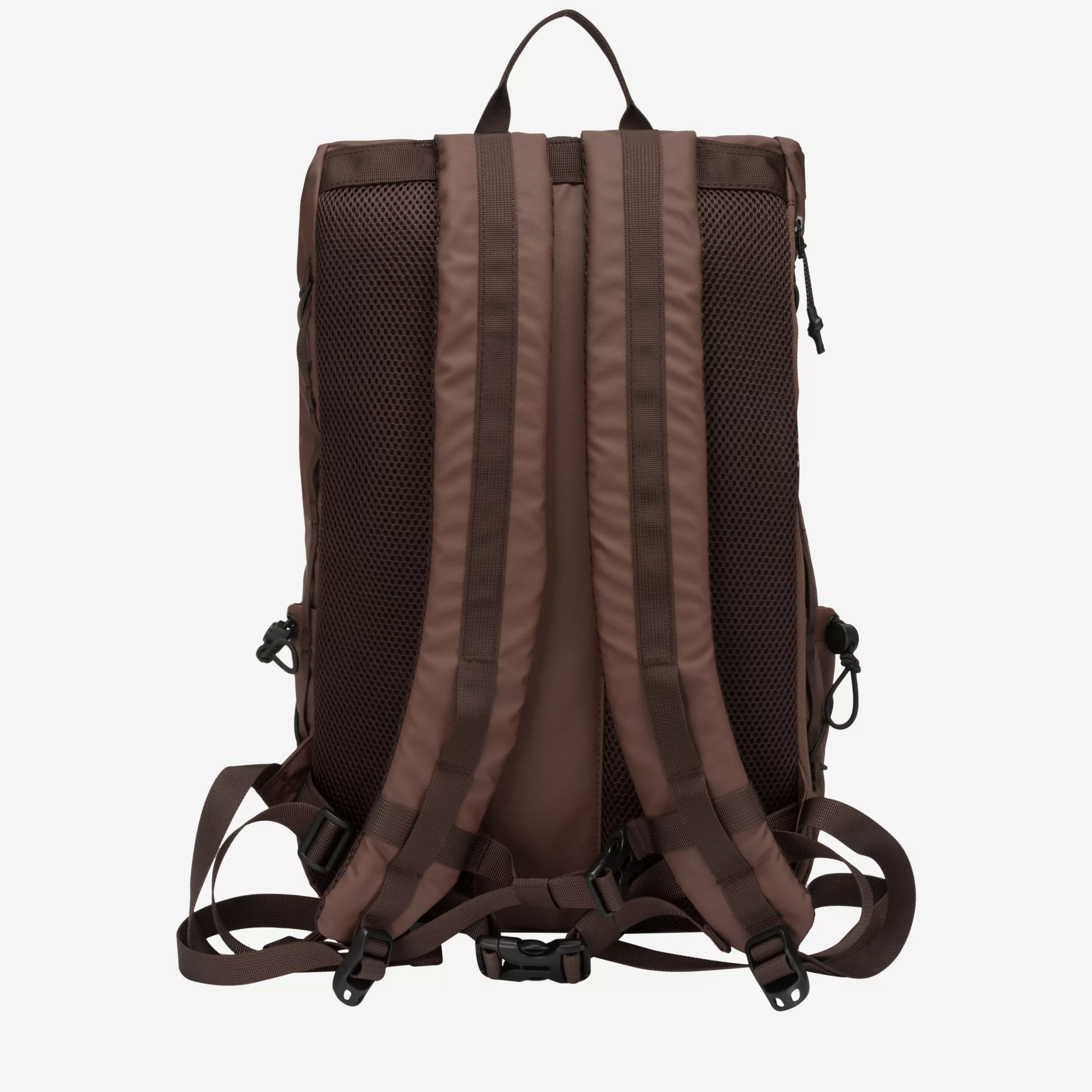 34001-brown-back