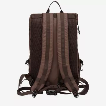 34001-brown-back