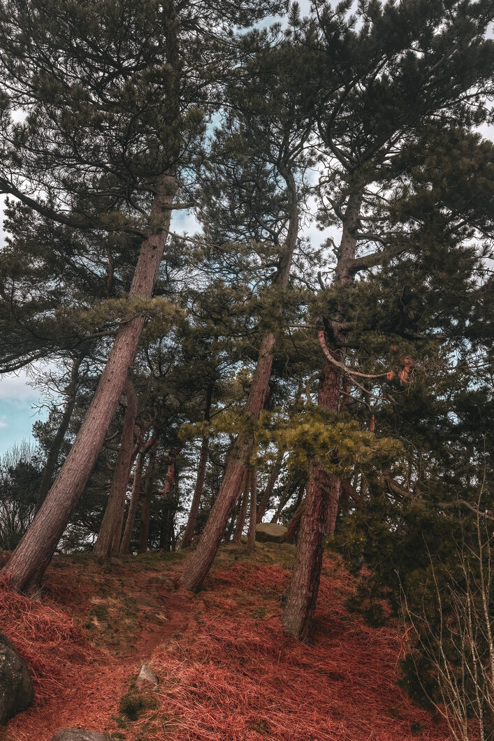 ELLIKER - Rombald's Ancient Rock