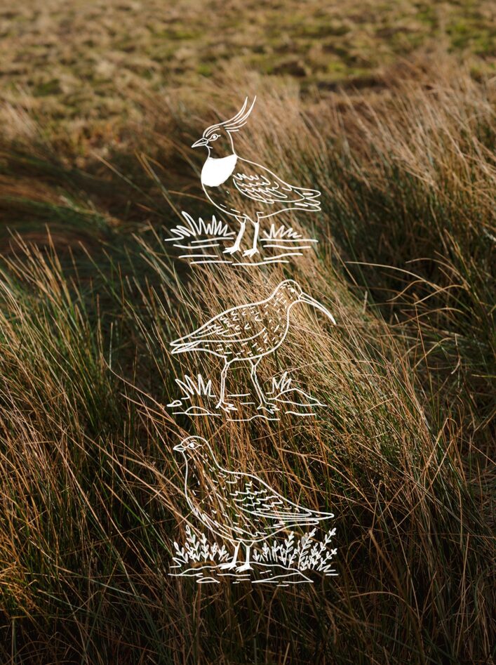 ELLIKER x Working Class Heroes Rill Lumen T-shirt