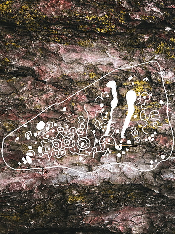 Getting Into Nature - Rombald's Moor